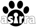 Asirra: A Human Interactive Proof